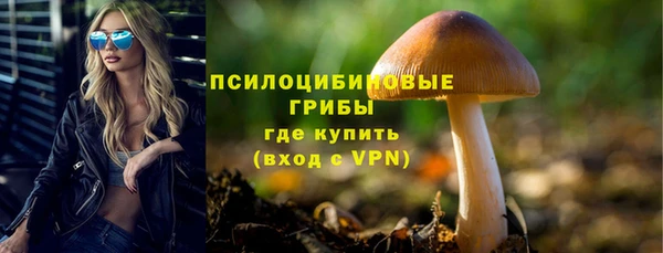 гидра Алексеевка