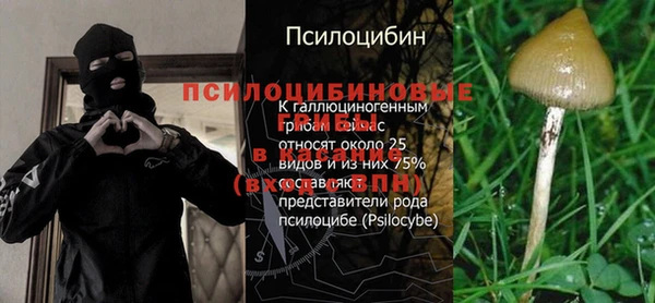 трава Алзамай