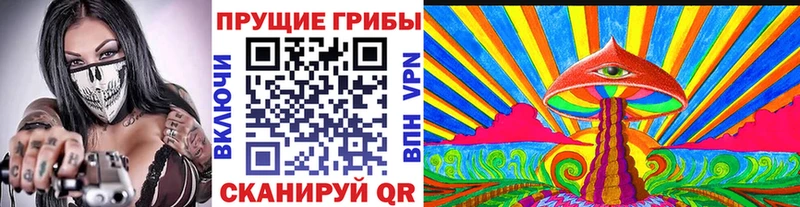 Галлюциногенные грибы ЛСД  Новоузенск 
